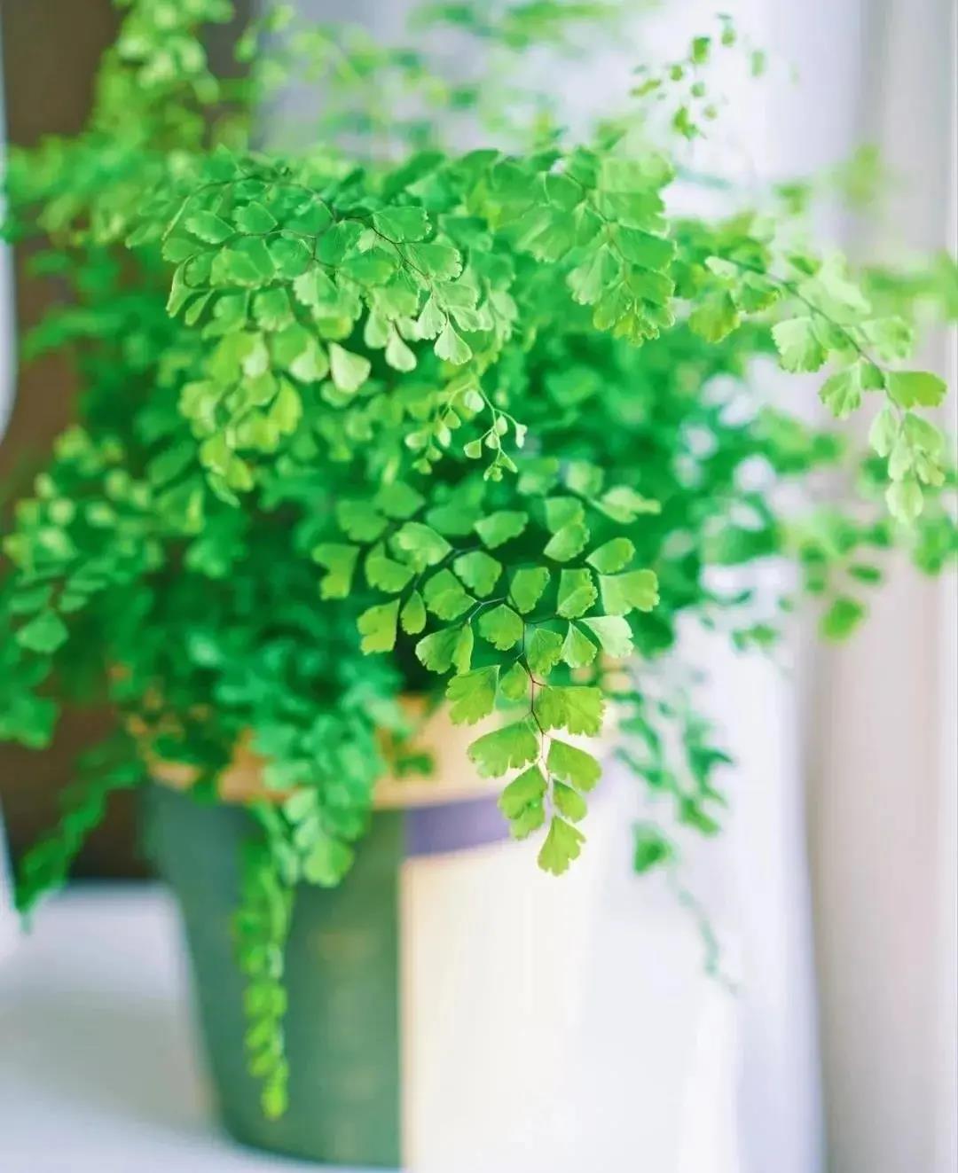 1600048434972647.jpg 微信圖片_20200914094226.jpg